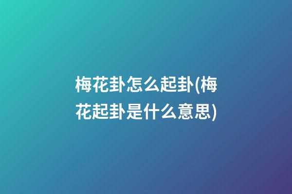 梅花卦怎么起卦(梅花起卦是什么意思)