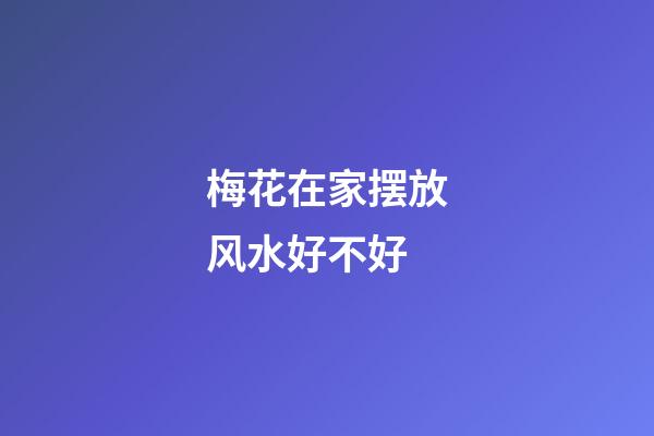梅花在家摆放风水好不好
