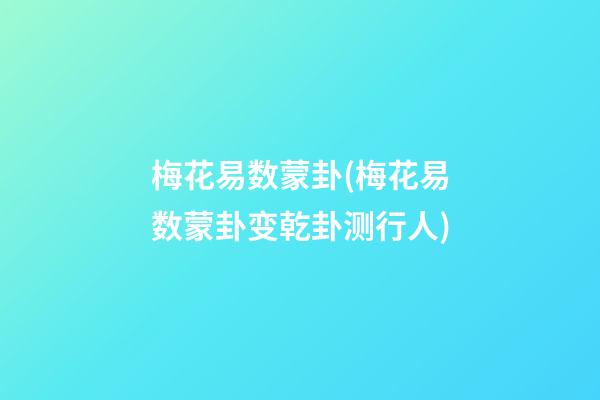 梅花易数蒙卦(梅花易数蒙卦变乾卦测行人)