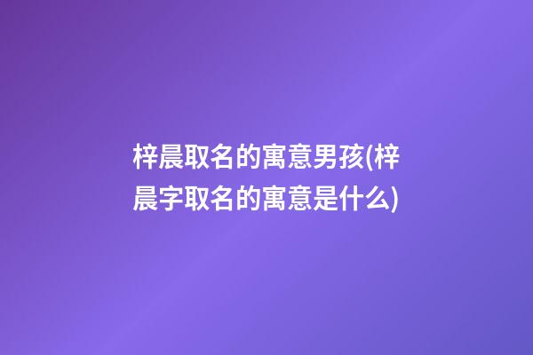 梓晨取名的寓意男孩(梓晨字取名的寓意是什么)