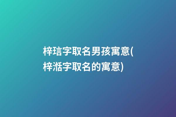 梓琂字取名男孩寓意(梓湉字取名的寓意)