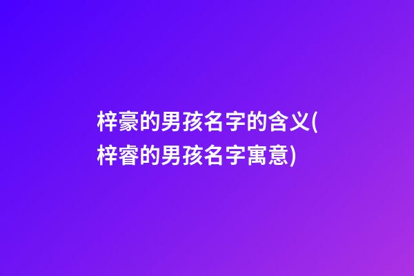 梓豪的男孩名字的含义(梓睿的男孩名字寓意)