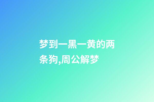 梦到一黑一黄的两条狗,周公解梦-第1张-观点-玄机派
