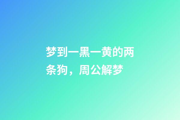 梦到一黑一黄的两条狗，周公解梦-第1张-观点-玄机派
