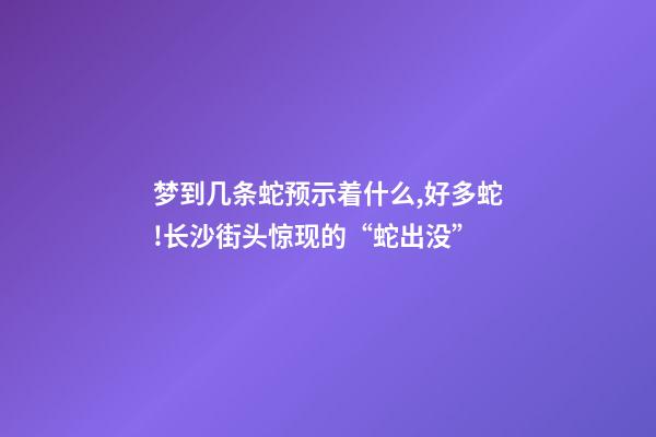 梦到几条蛇预示着什么,好多蛇!长沙街头惊现的“蛇出没”-第1张-观点-玄机派