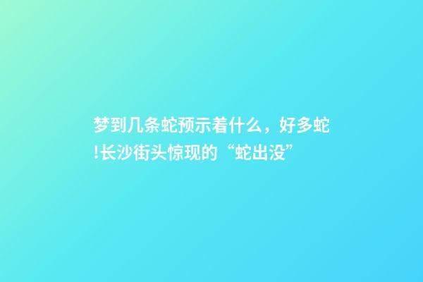 梦到几条蛇预示着什么，好多蛇!长沙街头惊现的“蛇出没”-第1张-观点-玄机派