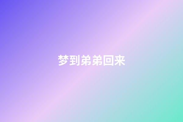 梦到弟弟回来