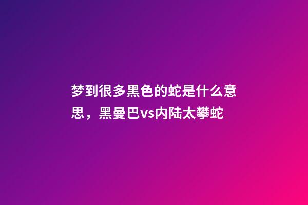 梦到很多黑色的蛇是什么意思，黑曼巴vs内陆太攀蛇-第1张-观点-玄机派