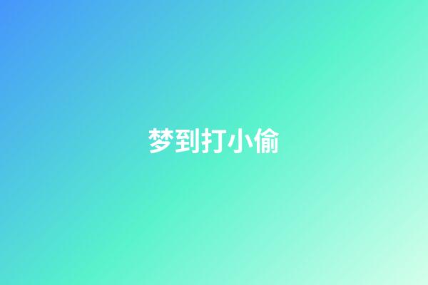 梦到打小偷