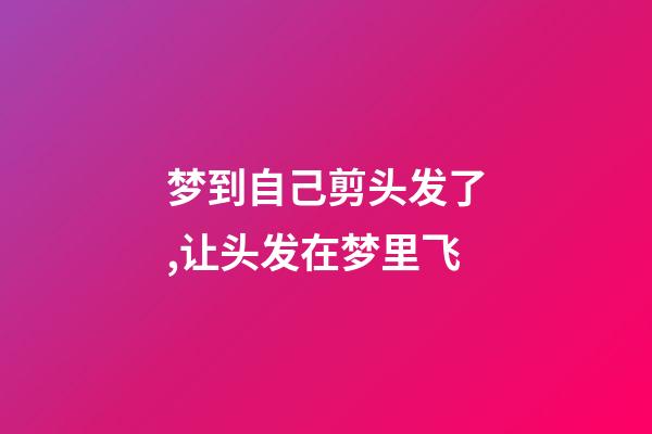 梦到自己剪头发了,让头发在梦里飞-第1张-观点-玄机派