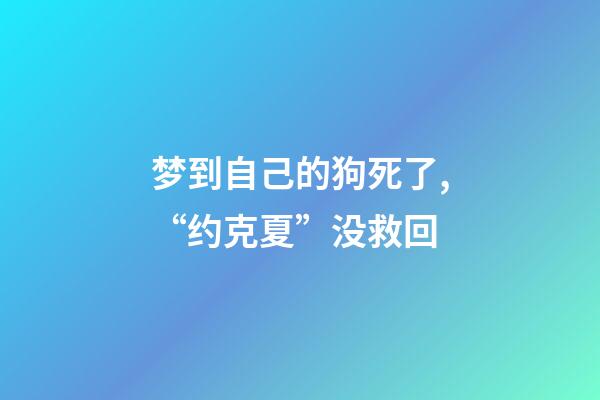 梦到自己的狗死了,“约克夏”没救回-第1张-观点-玄机派