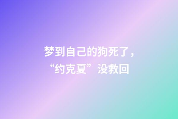 梦到自己的狗死了，“约克夏”没救回-第1张-观点-玄机派