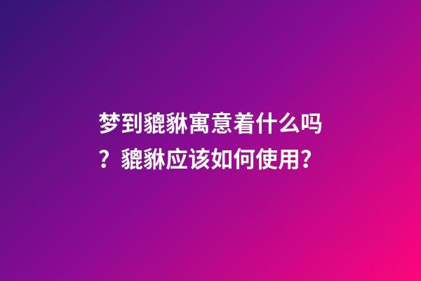 梦到貔貅寓意着什么吗？貔貅应该如何使用？