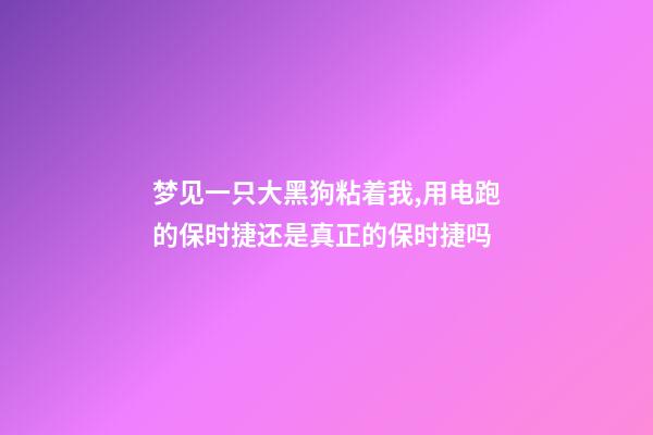 梦见一只大黑狗粘着我,用电跑的保时捷还是真正的保时捷吗-第1张-观点-玄机派