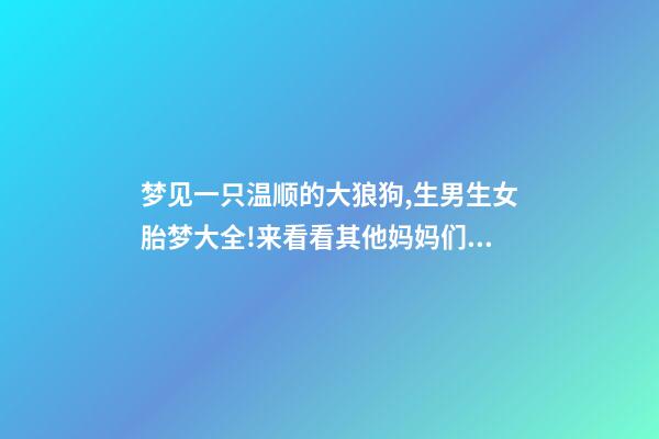 梦见一只温顺的大狼狗,生男生女胎梦大全!来看看其他妈妈们经验谈-第1张-观点-玄机派