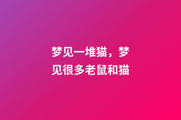 梦见一堆猫，梦见很多老鼠和猫-第1张-观点-玄机派
