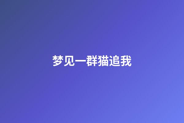 梦见一群猫追我