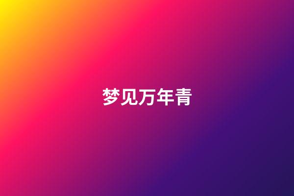梦见万年青
