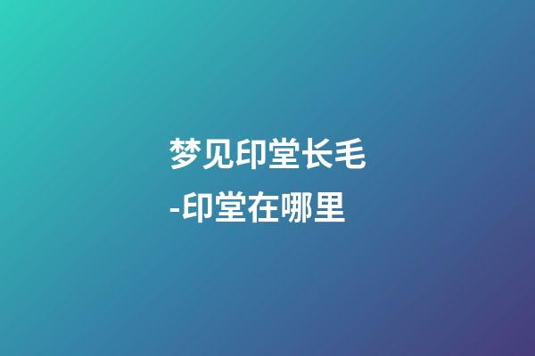 梦见印堂长毛-印堂在哪里