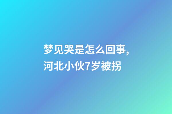 梦见哭是怎么回事,河北小伙7岁被拐-第1张-观点-玄机派