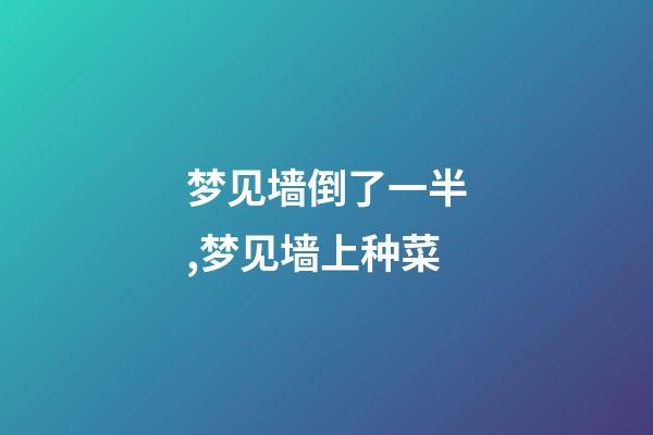 梦见墙倒了一半,梦见墙上种菜-第1张-观点-玄机派