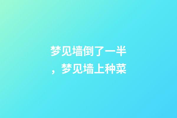 梦见墙倒了一半，梦见墙上种菜-第1张-观点-玄机派