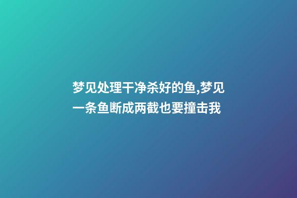 梦见处理干净杀好的鱼,梦见一条鱼断成两截也要撞击我-第1张-观点-玄机派