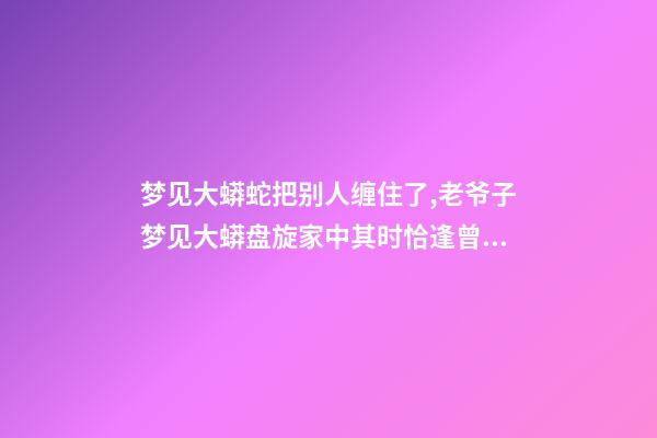 梦见大蟒蛇把别人缠住了,老爷子梦见大蟒盘旋家中其时恰逢曾孙出生-第1张-观点-玄机派
