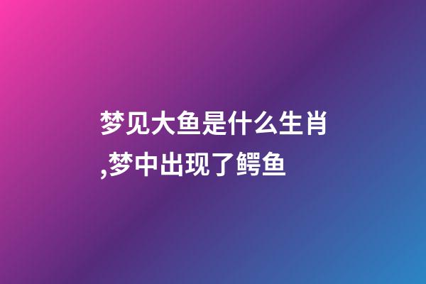 梦见大鱼是什么生肖,梦中出现了鳄鱼-第1张-观点-玄机派