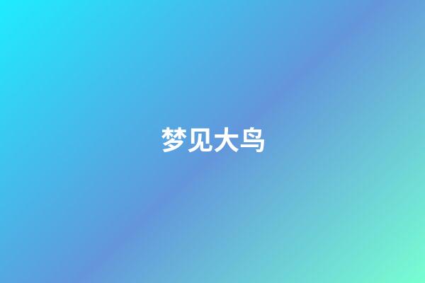 梦见大鸟
