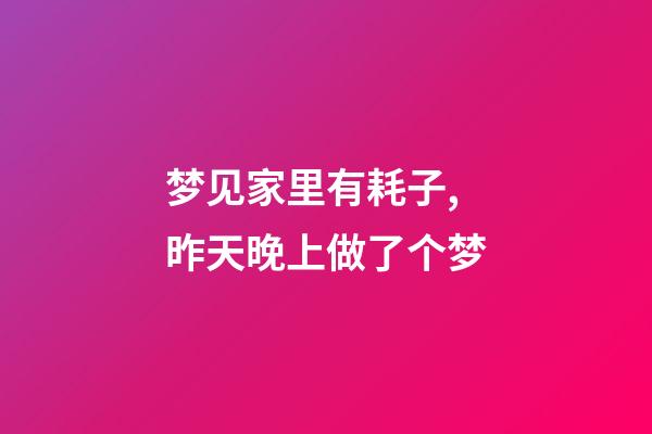 梦见家里有耗子,昨天晚上做了个梦-第1张-观点-玄机派