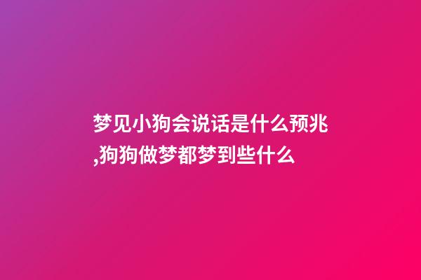 梦见小狗会说话是什么预兆,狗狗做梦都梦到些什么-第1张-观点-玄机派