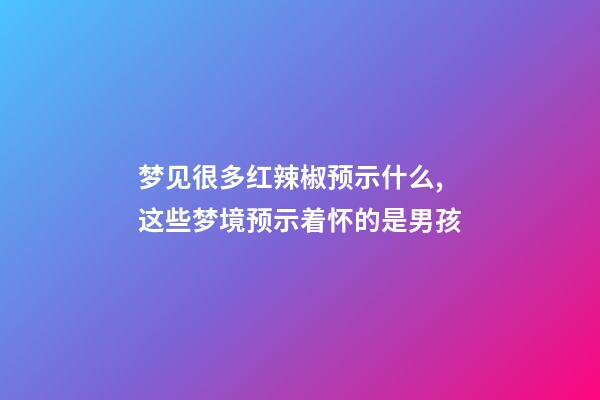 梦见很多红辣椒预示什么,这些梦境预示着怀的是男孩-第1张-观点-玄机派