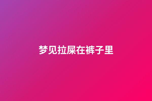 梦见拉屎在裤子里