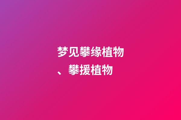 梦见攀缘植物、攀援植物