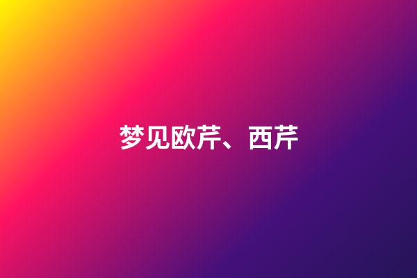 梦见欧芹、西芹