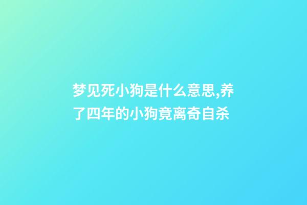 梦见死小狗是什么意思,养了四年的小狗竟离奇自杀-第1张-观点-玄机派