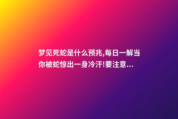 梦见死蛇是什么预兆,每日一解当你被蛇惊出一身冷汗!要注意了!-第1张-观点-玄机派