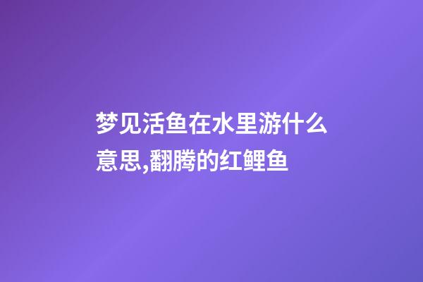 梦见活鱼在水里游什么意思,翻腾的红鲤鱼-第1张-观点-玄机派