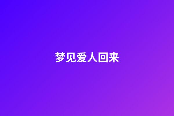 梦见爱人回来