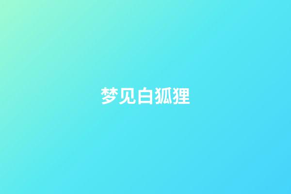 梦见白狐狸