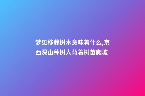 梦见移栽树木意味着什么,京西深山种树人背着树苗爬坡-第1张-观点-玄机派