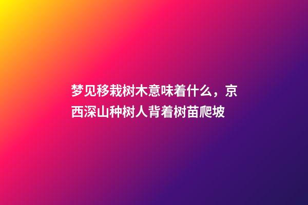 梦见移栽树木意味着什么，京西深山种树人背着树苗爬坡-第1张-观点-玄机派