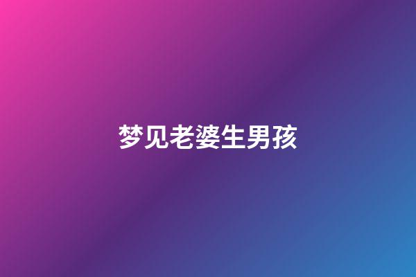 梦见老婆生男孩