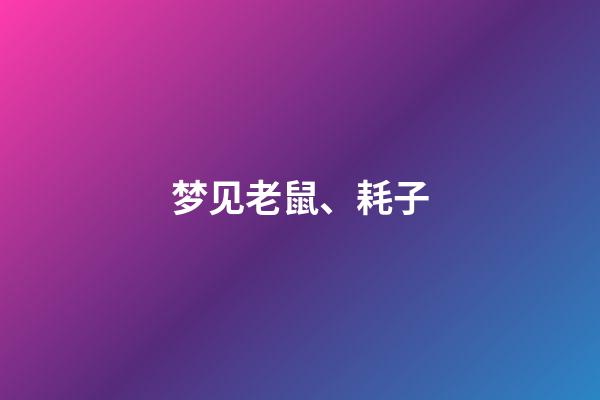 梦见老鼠、耗子