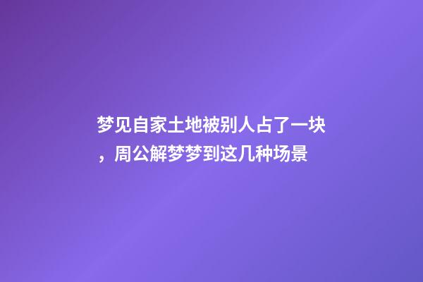 梦见自家土地被别人占了一块，周公解梦梦到这几种场景-第1张-观点-玄机派