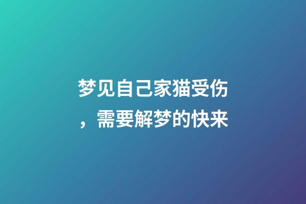 梦见自己家猫受伤，需要解梦的快来-第1张-观点-玄机派