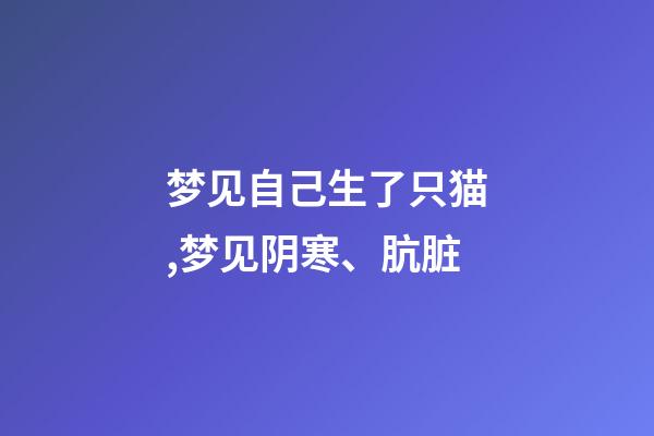 梦见自己生了只猫,梦见阴寒、肮脏-第1张-观点-玄机派