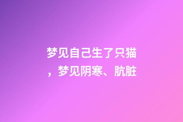 梦见自己生了只猫，梦见阴寒、肮脏-第1张-观点-玄机派
