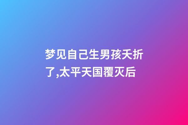 梦见自己生男孩夭折了,太平天国覆灭后-第1张-观点-玄机派